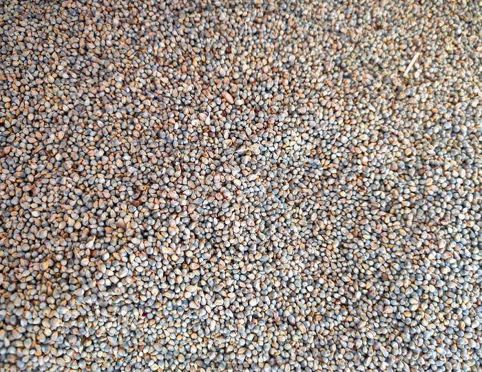 expanded millet seeds texture.