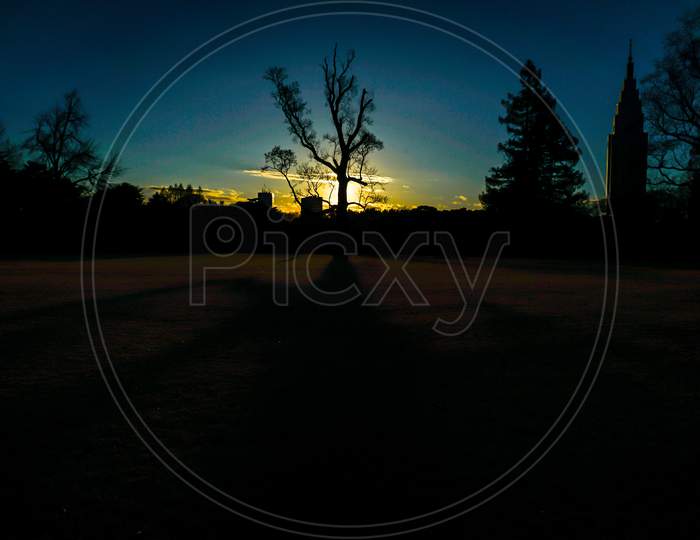 Silhouette Of Dusk And Tree