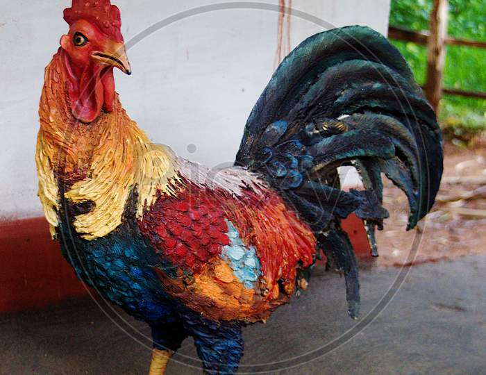 Icon Of Colorfully Feathered Cock