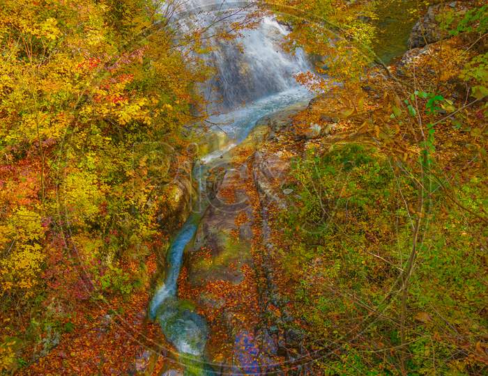 Image of Rhododendron Falls (Gunma Prefecture Forty Thousand)-IW834759-Picxy