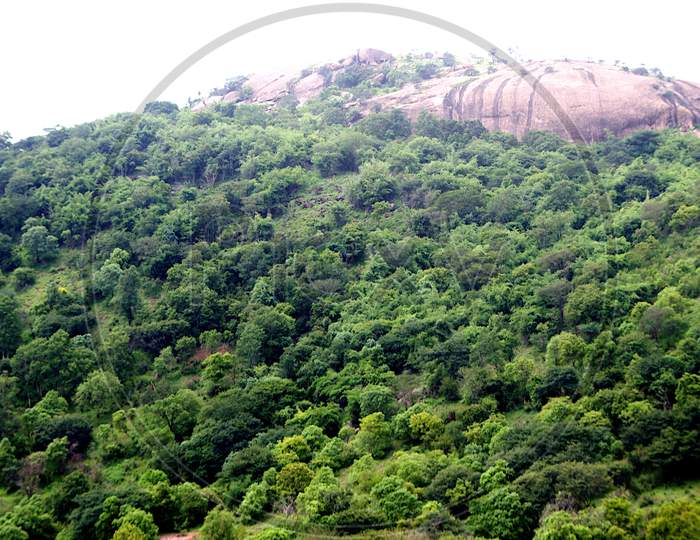 Green Hill With Rock Top, Ramagiri