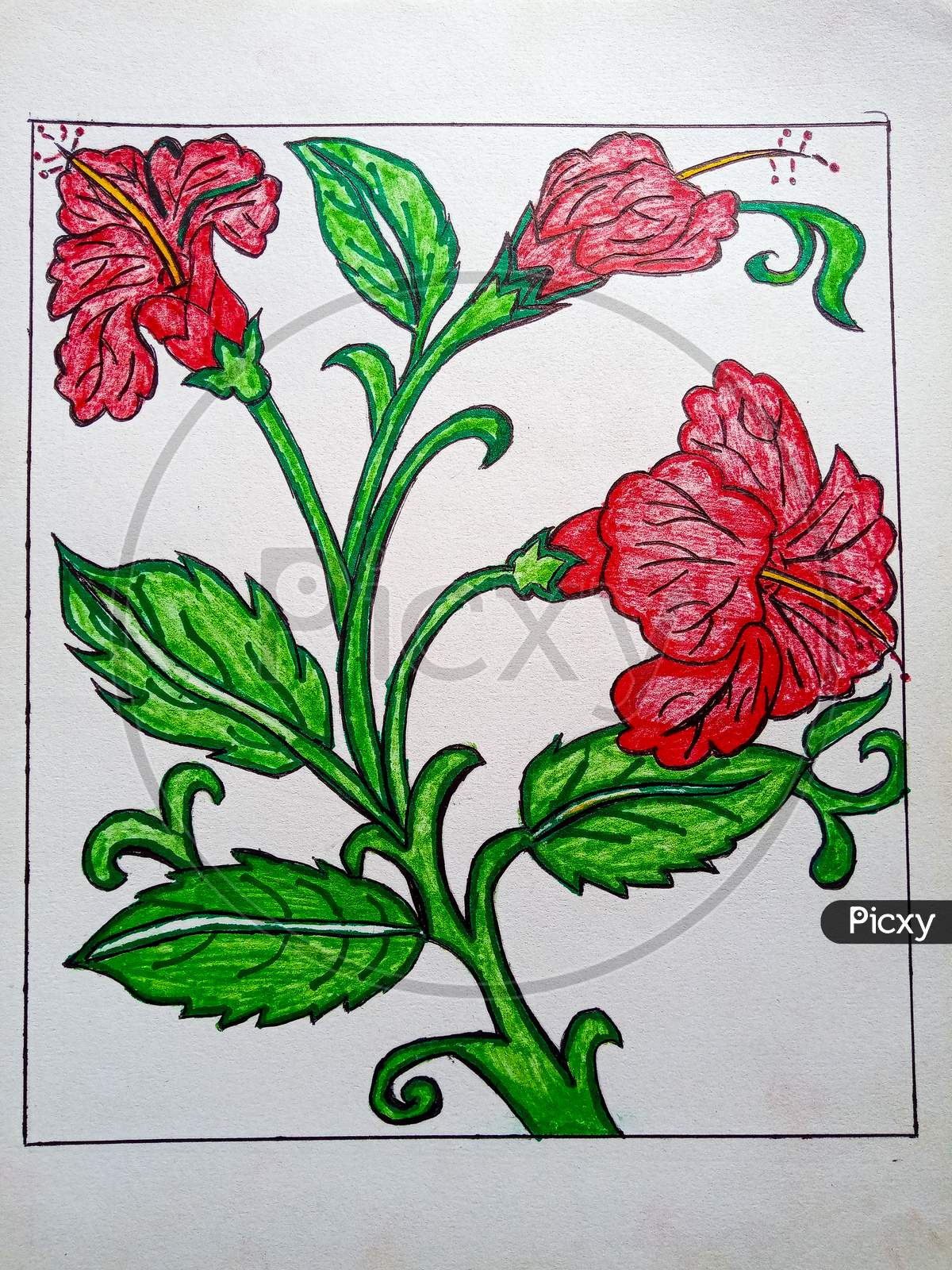 Alekhan | How To Draw Rose Alekhan Drawing | Roses drawing, Drawings,  Doodle patterns