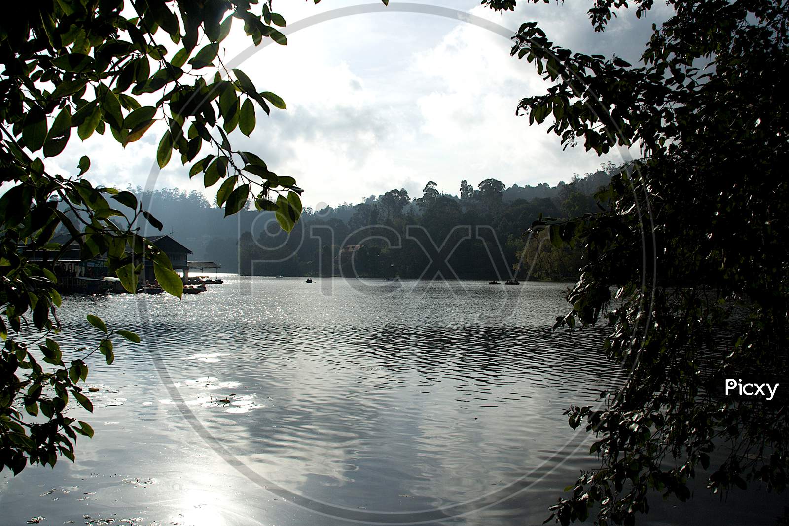 Lake And Landscape At Kodaikanal