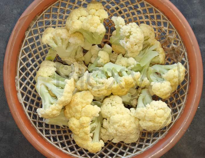 Brassica oleracea var.botrytis, Cauliflower, Gobhi,
