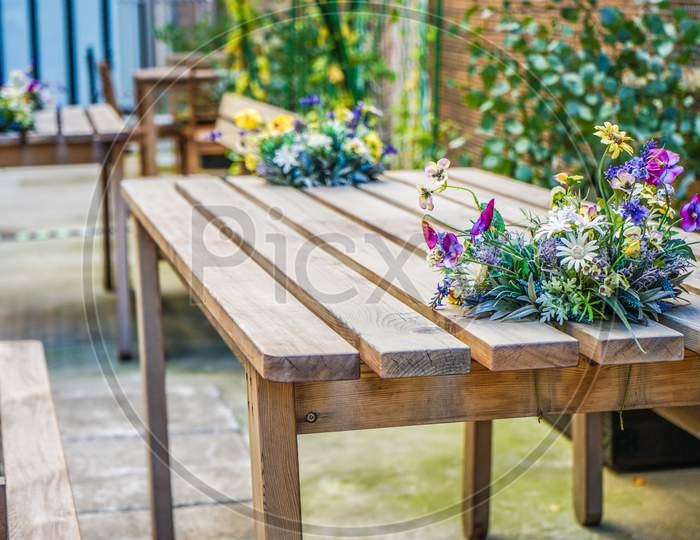 Wooden Bench And Plant Images
