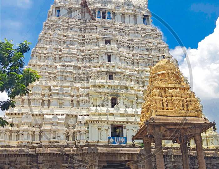 Image of Golden Lizard temple Kanchipuram, Chennai India-ZT489619-Picxy