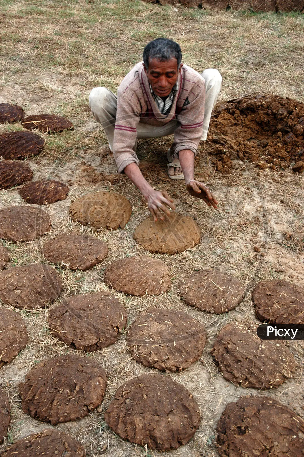 Preparing Dung Cakes | Global Climate Change