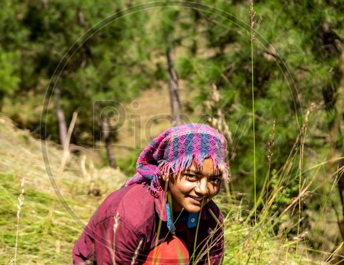Portrait Of An Indian Female Farmer In Traditional Dress. Indian Girl Farmer Working In The Fields.