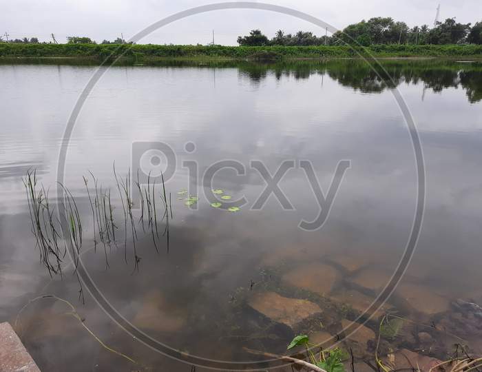 Beautiful Lake Or Pond At Countryside Of Channapatna, Bevoor. Near The Pond Rural Bus Going On The Lake Bank Of The Village