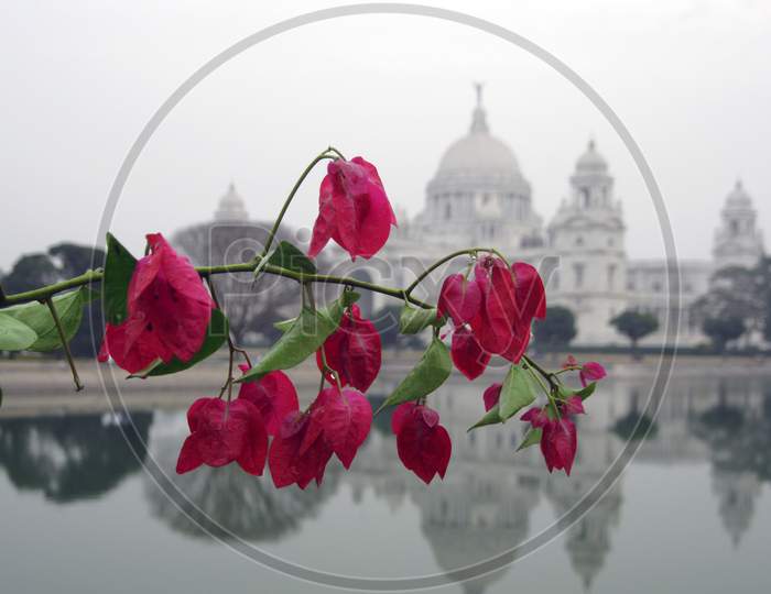 Victoria memorial behind the bunch of flowers