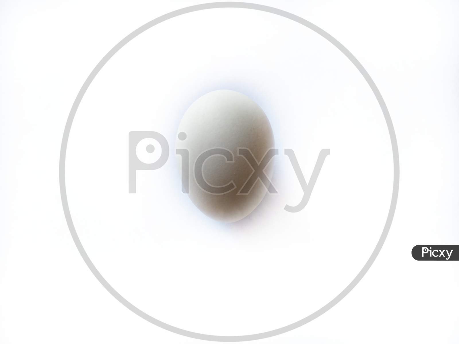 Isolated egg on white background