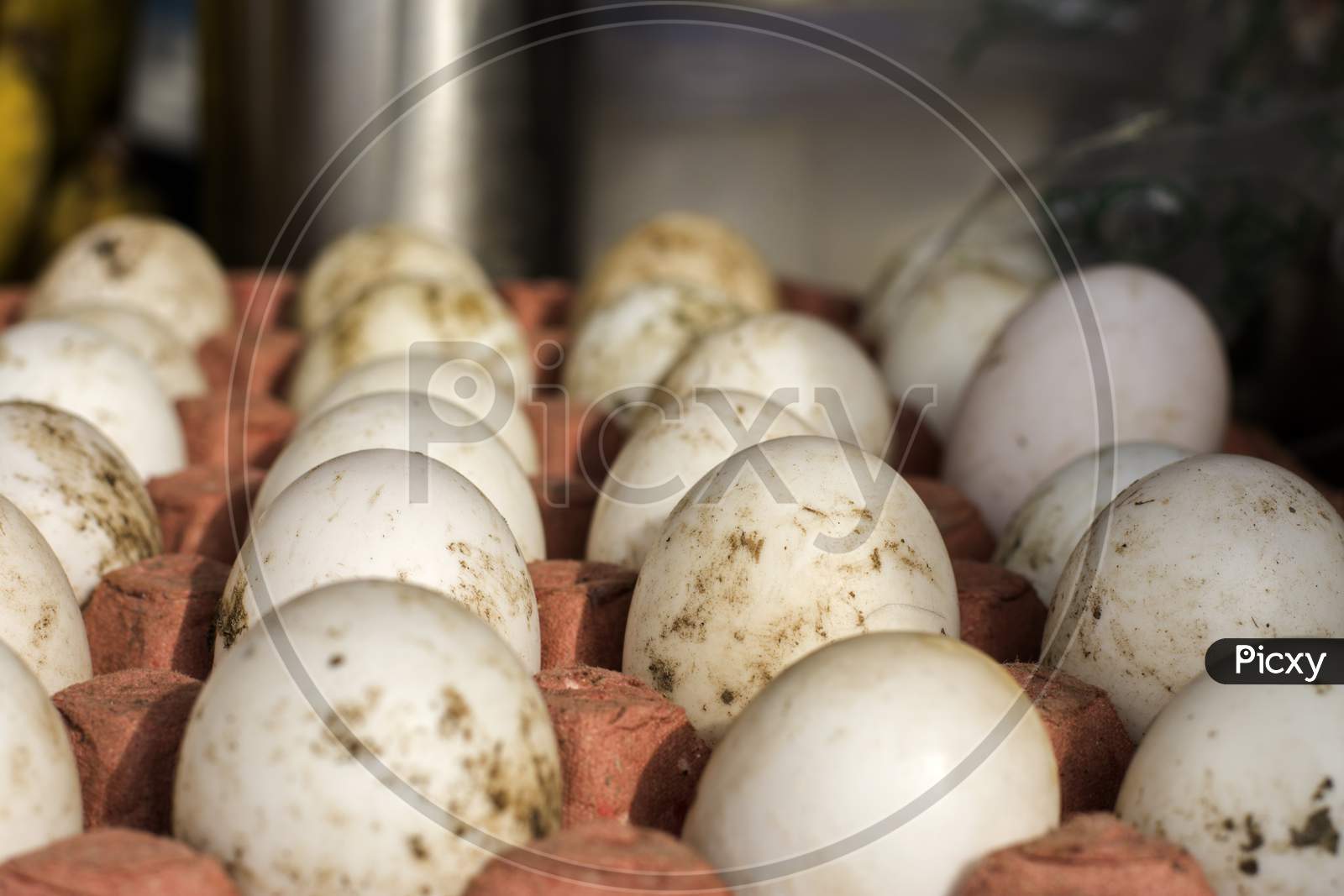 A Rack Full Of Eggs With Selective Focus