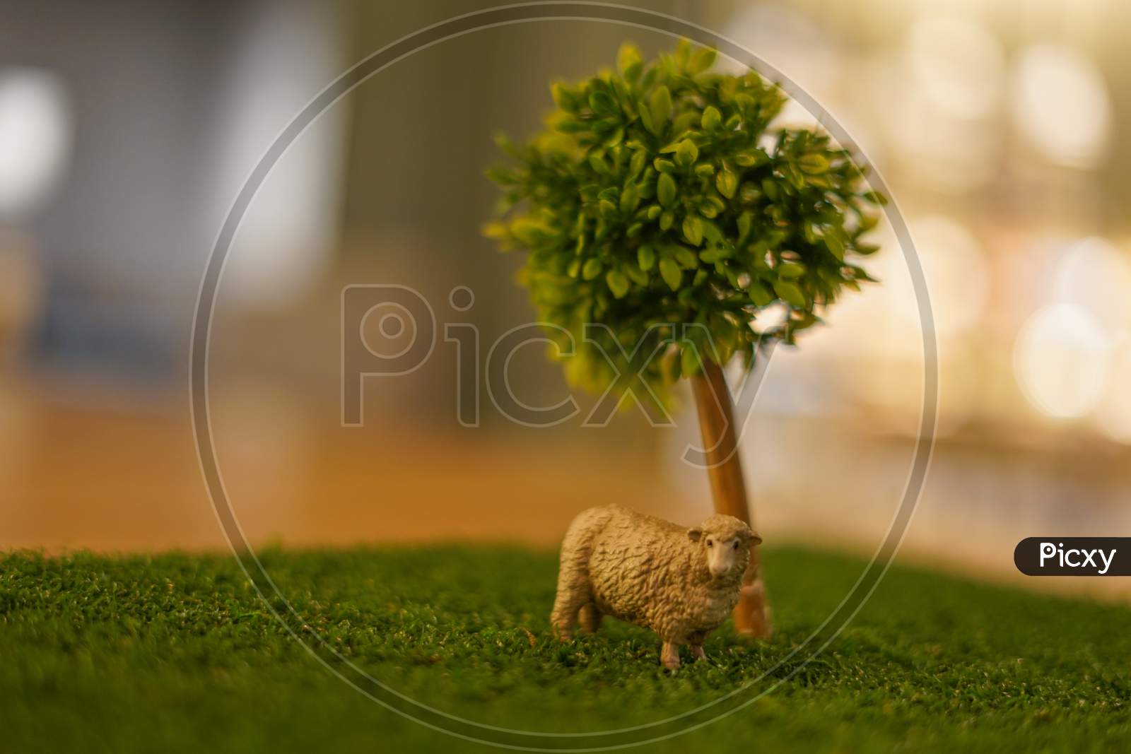 Of Sheep Of The Figure And The Savannah Image