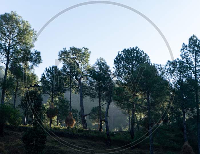 Beautiful Scenic Landscape Of A Village Based In Between The Mountains Captured During Sunset. Indian Village Situated In The Hills Of Almora.