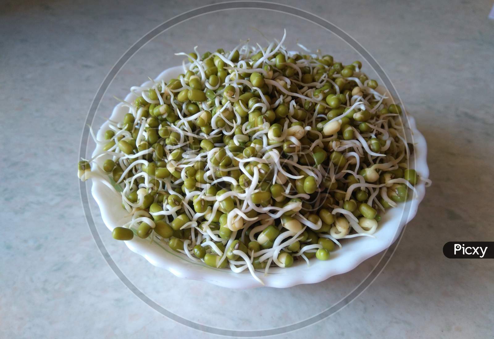 Sprouted moong, mung or green gram, organic type, a healthy vegetarian food in bowl, high protein diet.
