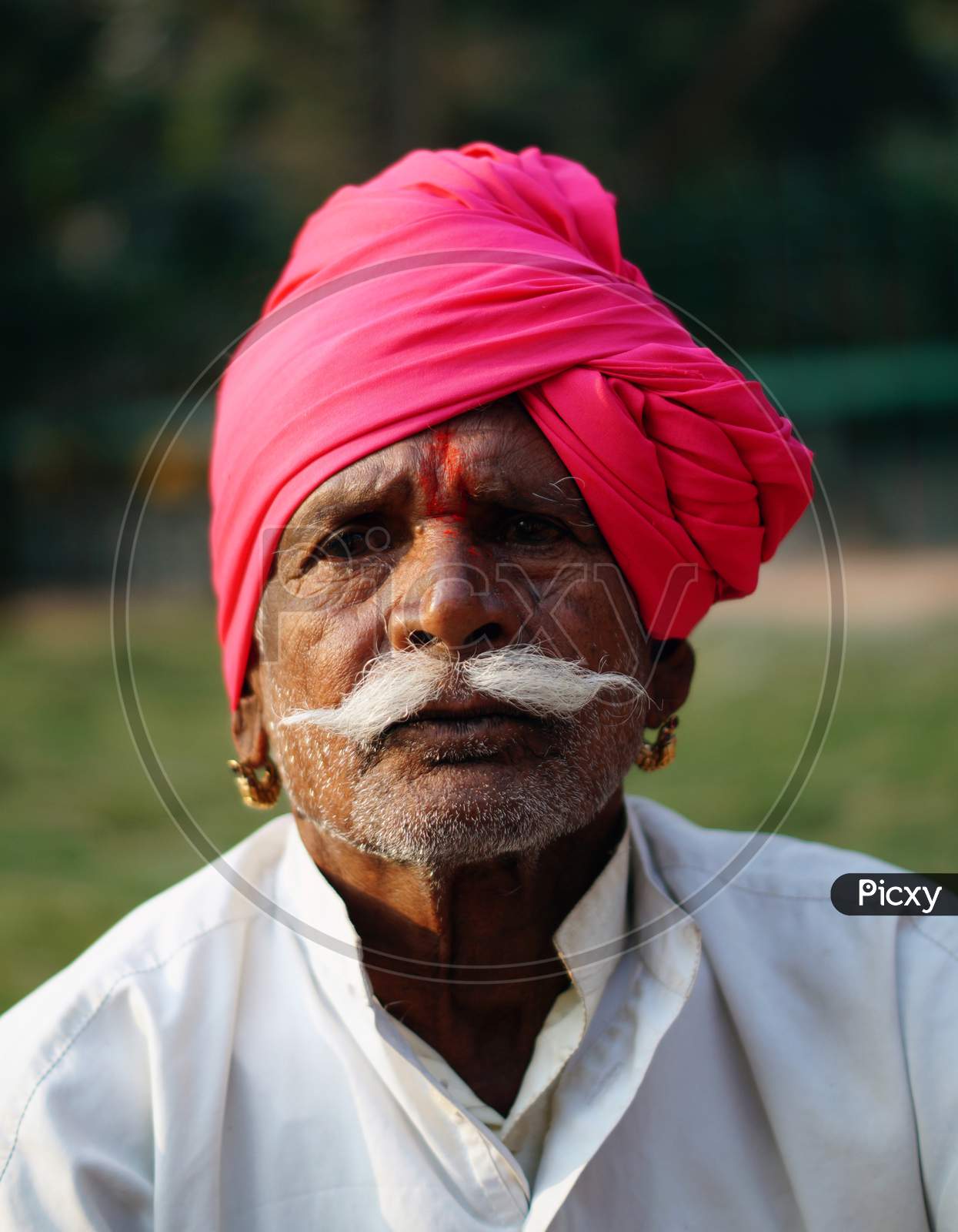 Portrait Of Indian Old Farmer With Red Turban, With Traditional Dresss