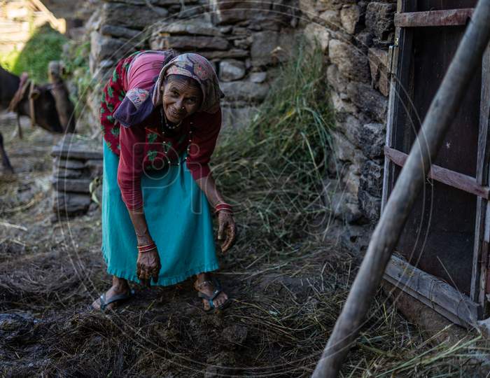 Almora, Uttarakhand- October 15 2021- Indian Woman Farmer, Working In The Cattle Farm. Indian Village Woman Working In The Morning.