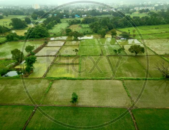 Farms in india