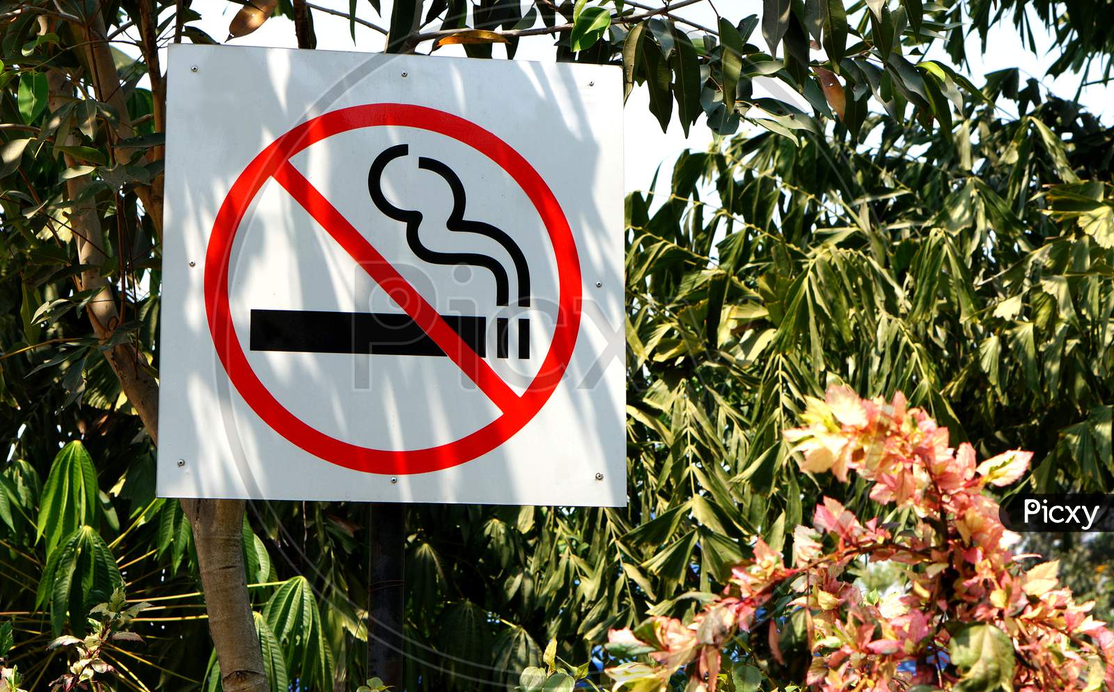View Of No Smoking Sign In A Public Place