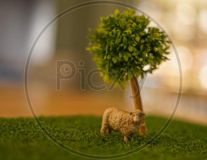 Of Sheep Of The Figure And The Savannah Image