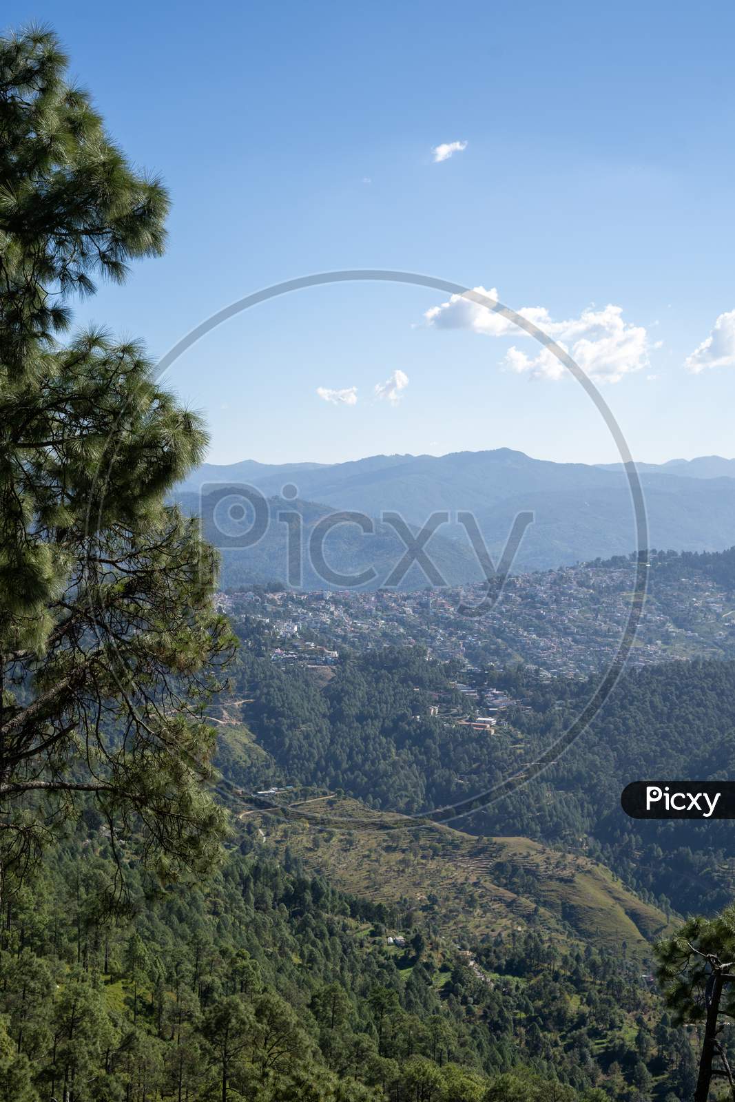 Image of this is a picture of kasar devi temple in almora.temple in  forest.-DT622178-Picxy