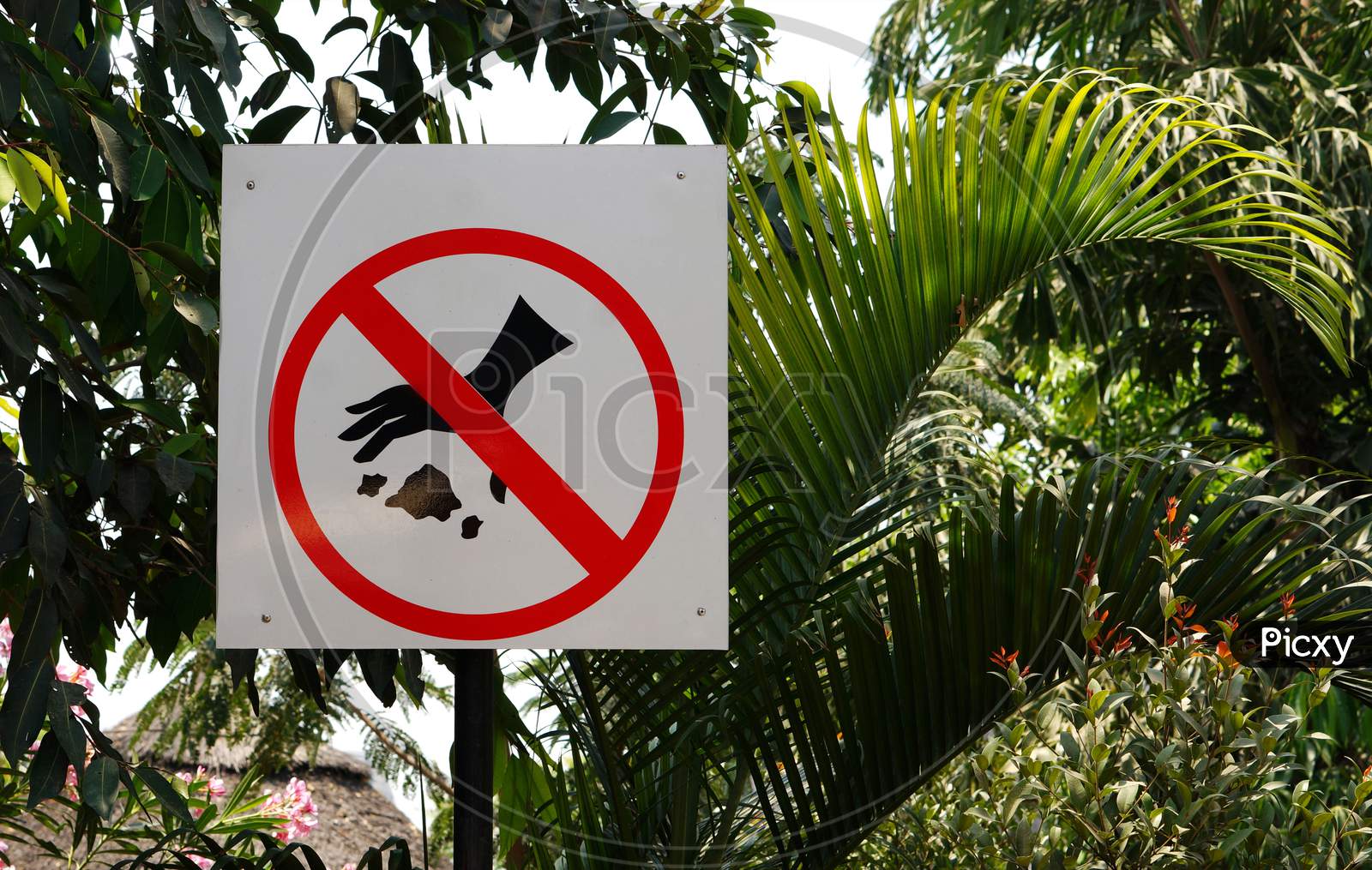 View Of No Littering Sign Board In A Public Place