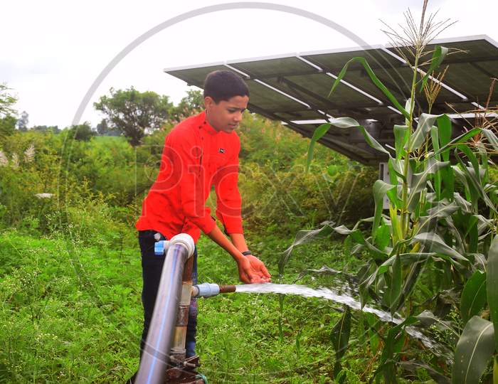 Rural Boy Drinks Water On Water Jet, Agricultural Equipment For Field Irrigation, Solar Panel'S, Corn Plants, Rain Fog.