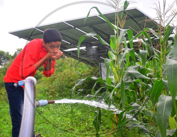Rural Boy Drinks Water On Water Jet, Agricultural Equipment For Field Irrigation, Solar Panel'S, Corn Plants, Rain Fog.