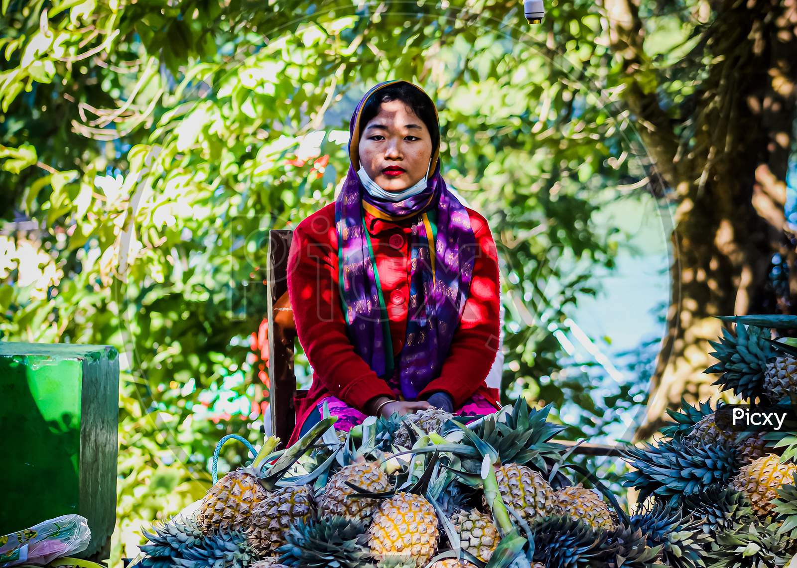 The girl is sitting on the side of the road selling pineapple. The girl is seen in a state of despair. The fruit seller on the side of the road is in a bad condition due to the effect of corona.