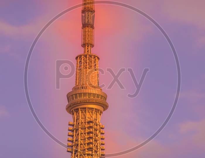 Sunset And Tokyo Sky Tree