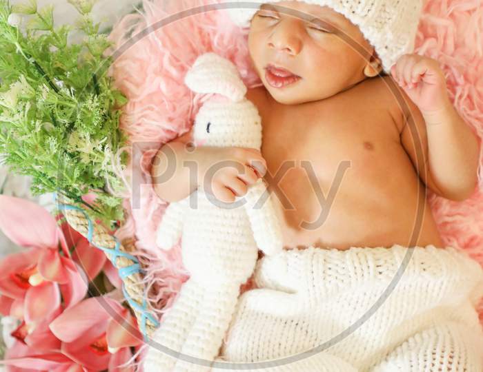 Nora Rose ~ Rose Themed Newborn Photos | One Big Happy Photo