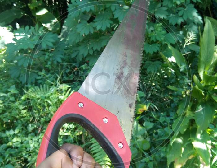 Best hand saw for cutting wood