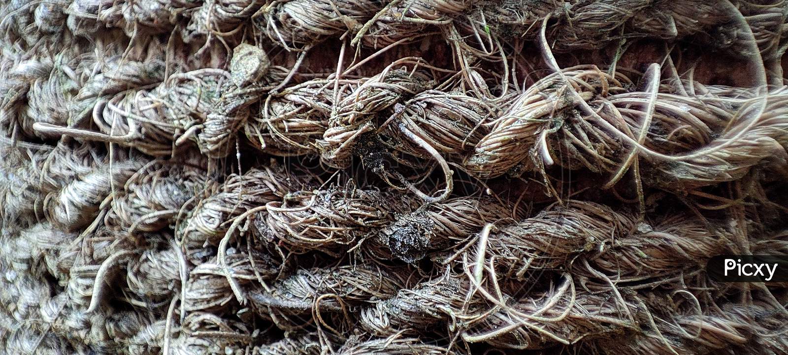 Image of Thick Coarse Hand-Knitted Rope Of Coconut Fiber.Coconut