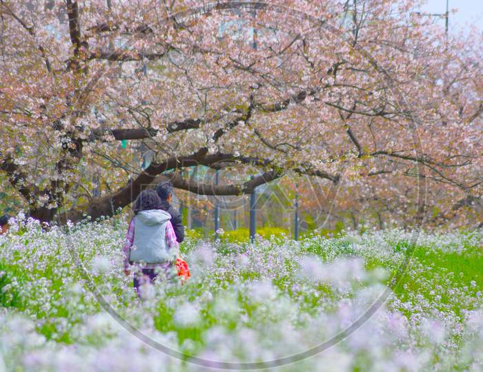 Woman To Walk The Flower Garden Of Spring