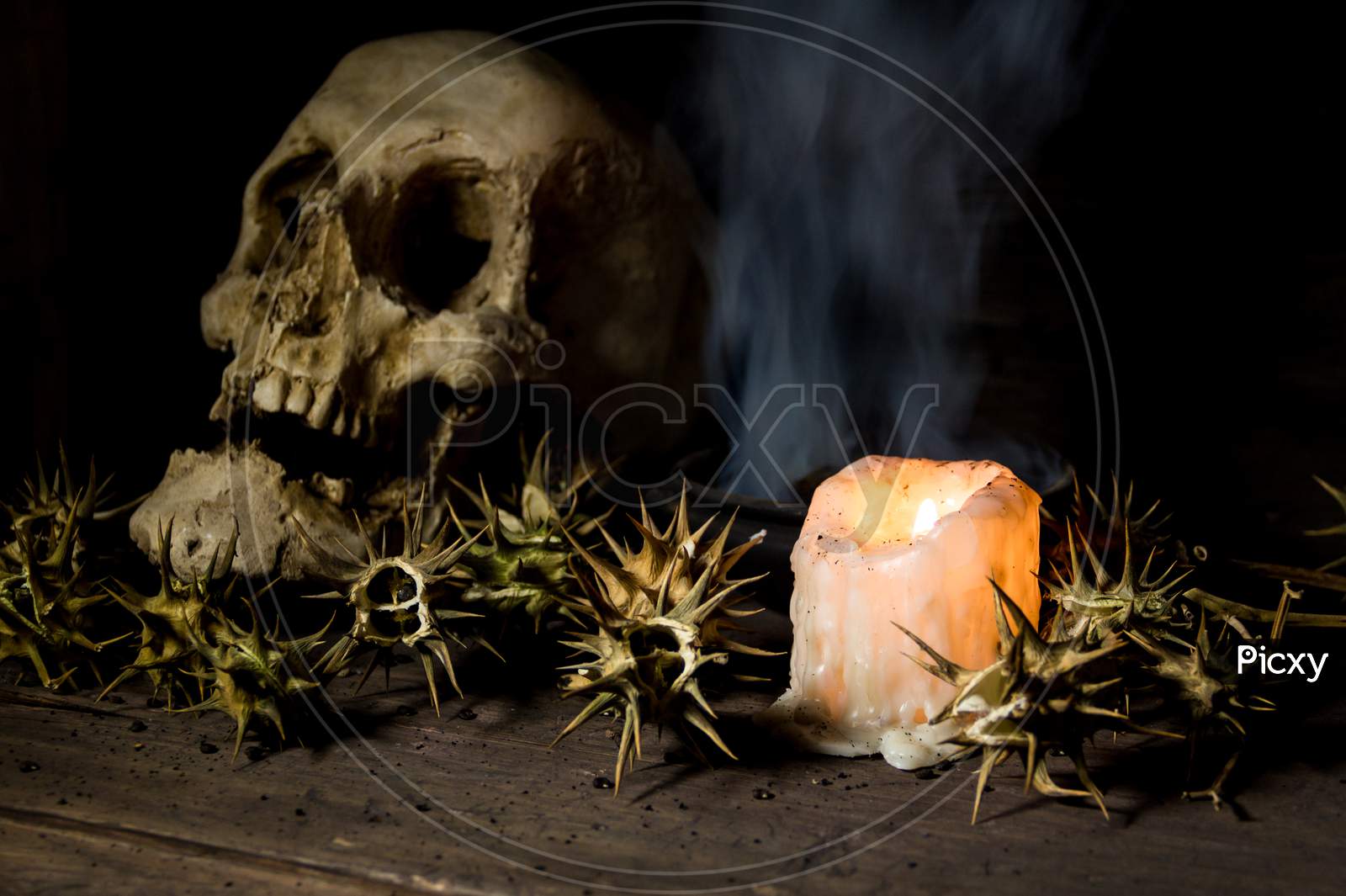 Burundanga Fruits And Seeds With A Human Skull Fire And Smoke