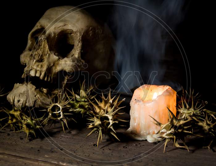 Burundanga Fruits And Seeds With A Human Skull Fire And Smoke