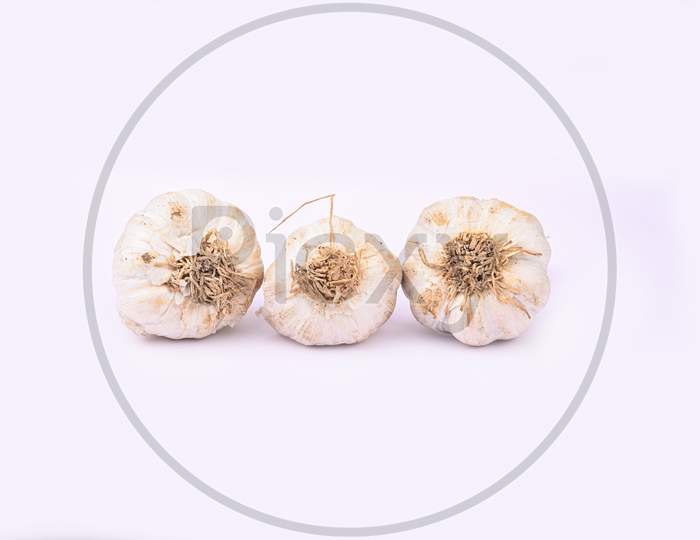 Three piece Garlic Isolated on white background.