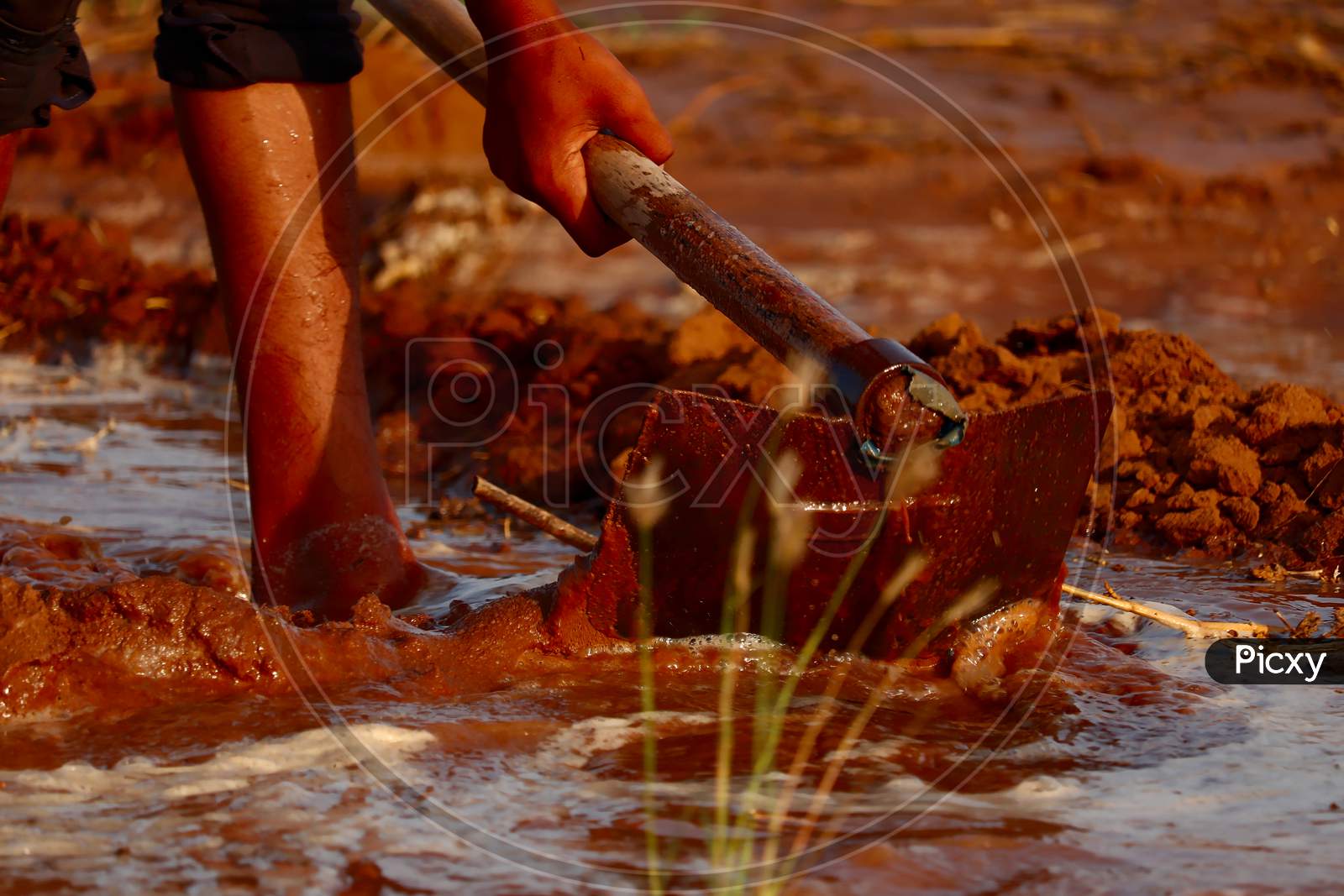 Man Working In Garden Between Beds With Hoe In Hands,Young Indian Farmer Water The Field,Selective Focus,Indian Farmer Working In Farm With Hoe,