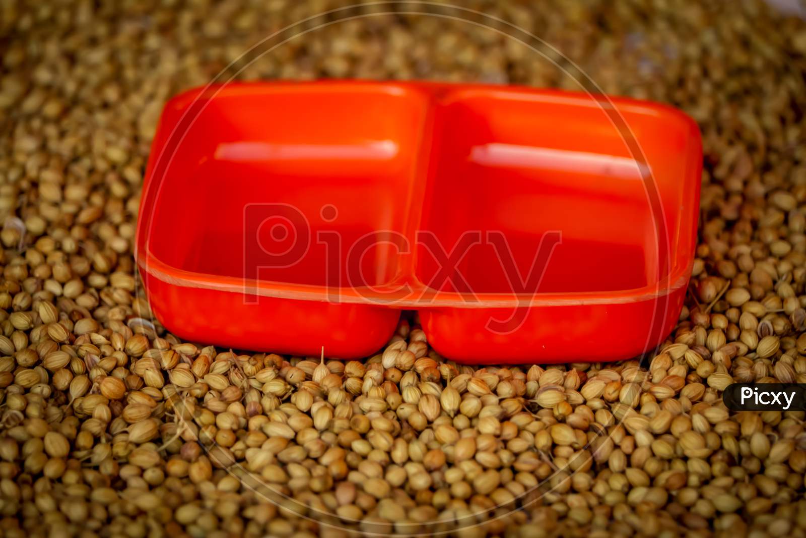 Coriander Seeds In A Big Wooden Bowl, Coriander Seeds And Wooden Spoon Beautiful Footage,Raw Organic Coriander Seeds In A Bowl,Selective Focus On Subject,Dried Coriander Seed Bowl
