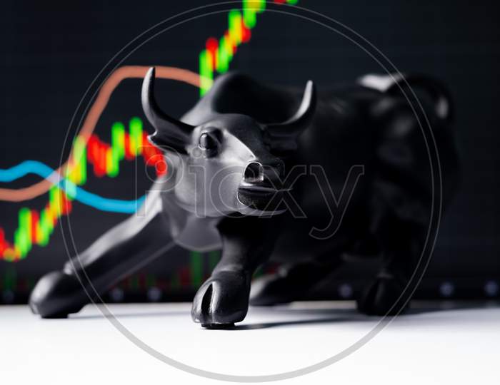 Selective Focus On Bull, Concept Of Bullish, Boom Or Rising Of Stock Market Showing By Rising Charts And Bull Entering Th Frame.