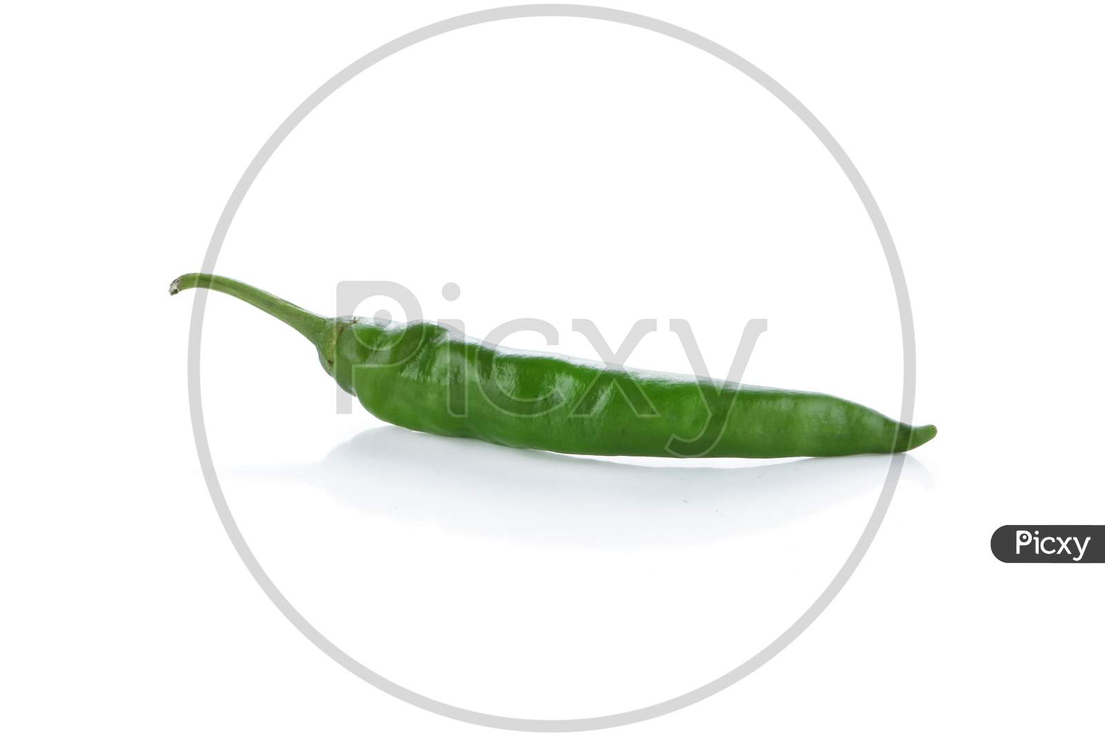 Fresh green chili pepper isolated on a white background.fresh chili on white background. spicy green Hot Spicy Chilli Pepper.