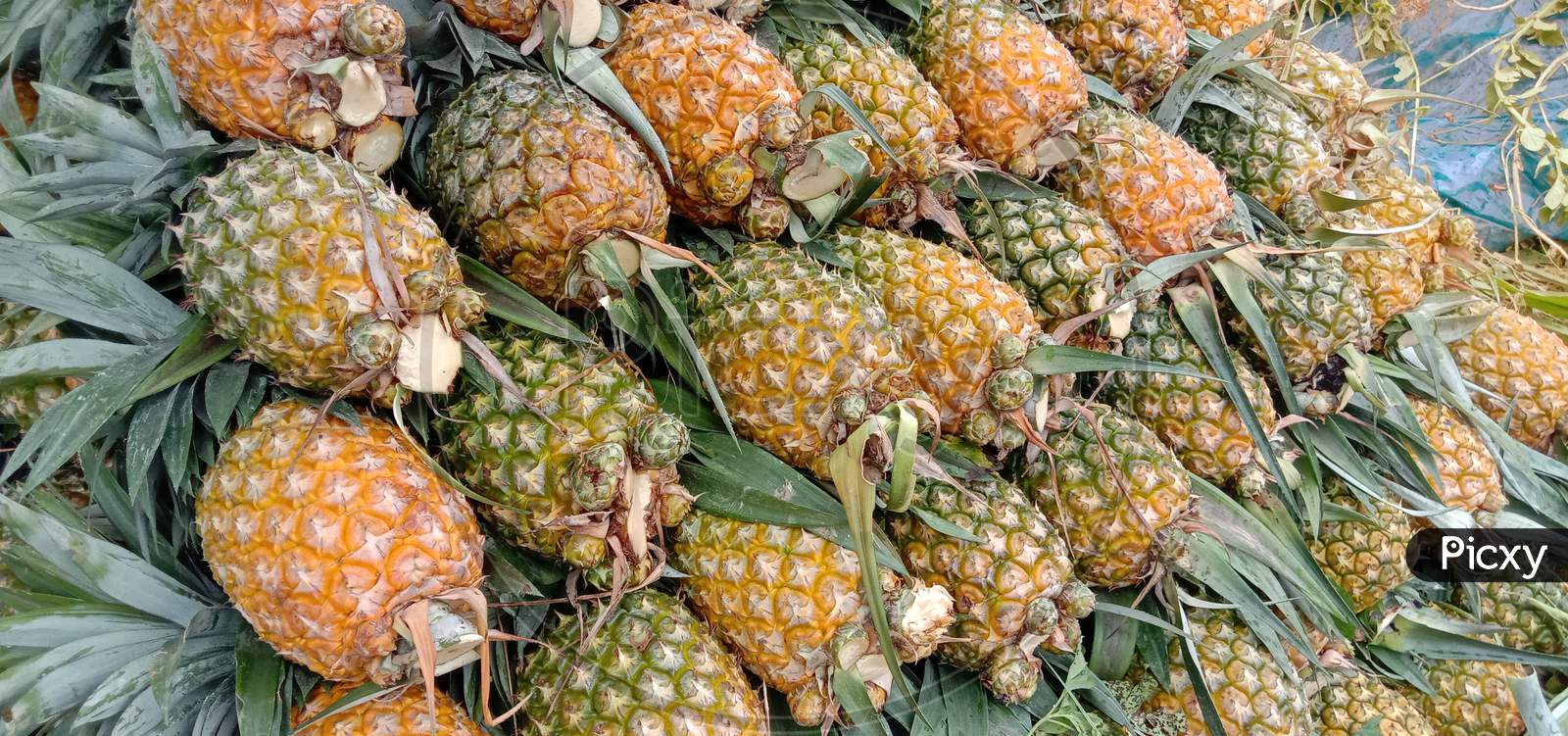 Healthy And Tasty Pineapple On Shop