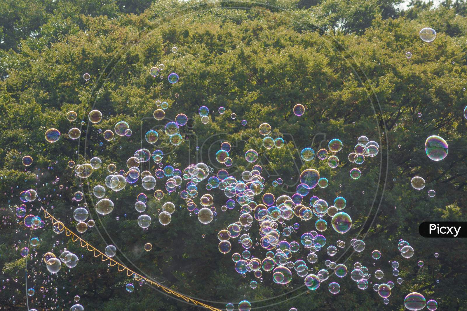 A Large Amount Of Soap Bubble