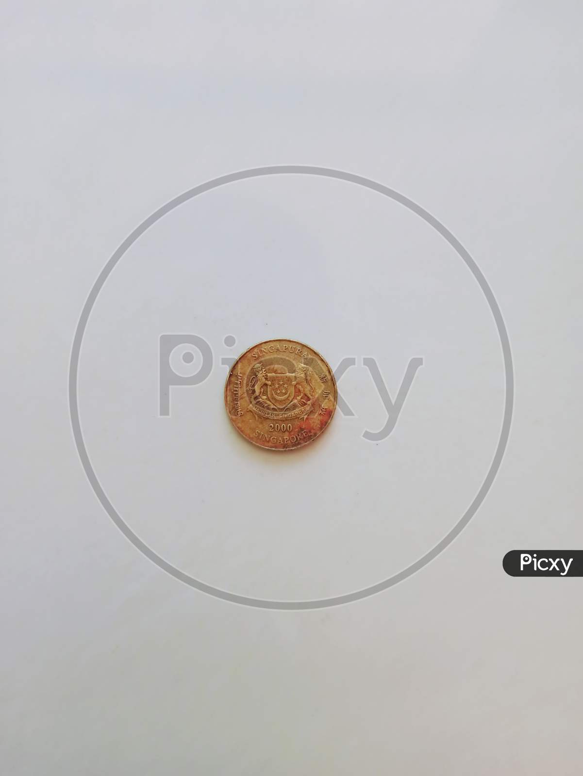 Singapore coin