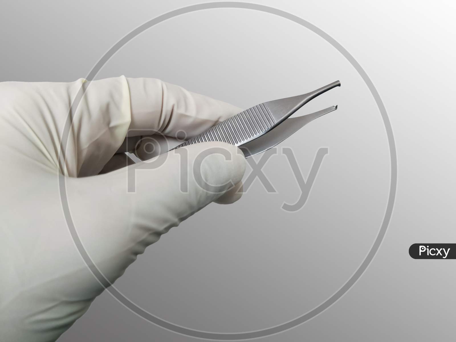 Surgeon Holding Adson Brown Forceps With Gloved Hand. Selective Focus