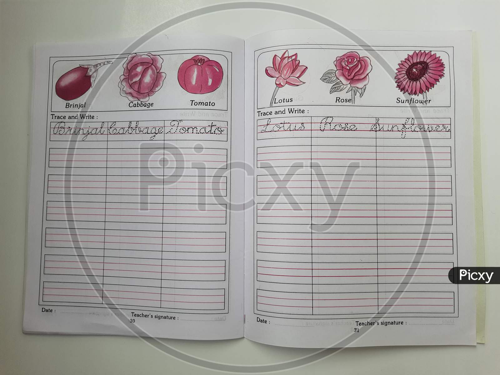 Image Of Closeup Of English And Kannada Copy Book Cursive Writing Image of closeup of english and kannada copy book cursive writing