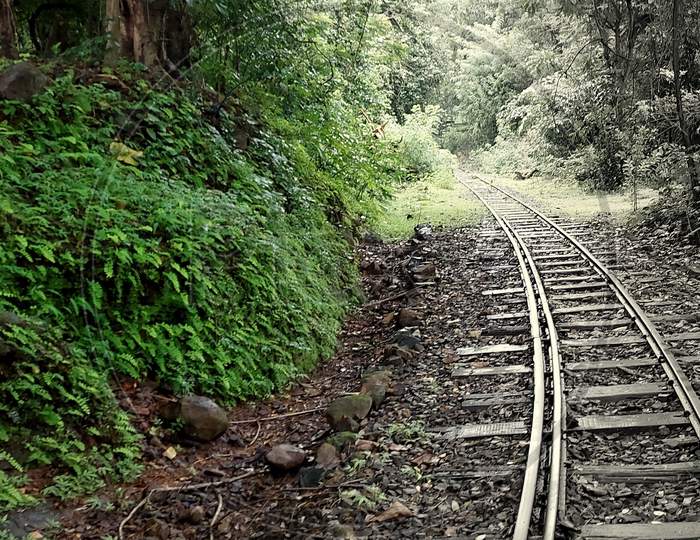 Toy Train and Nature
