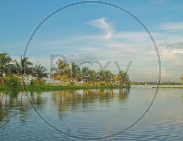 From The Lake Banks In The Evening With A View Of The Line Of Coconut Trees