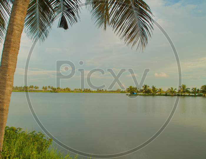 Lake Banks With A Partial View Of The Fishing Boat And Coconut Trees