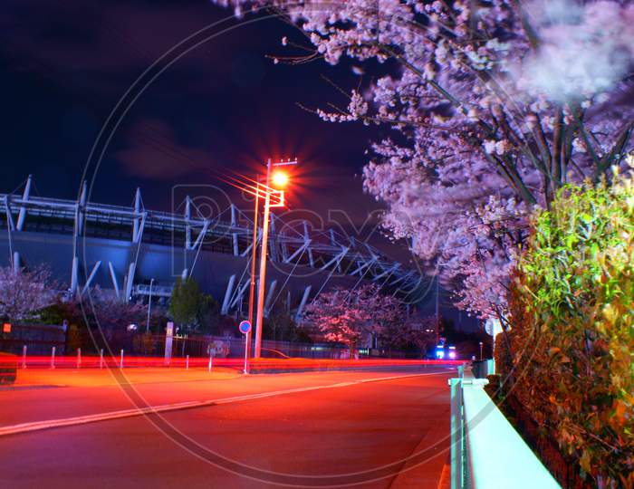 Cherry Blossoms And Ajinomoto Stadium